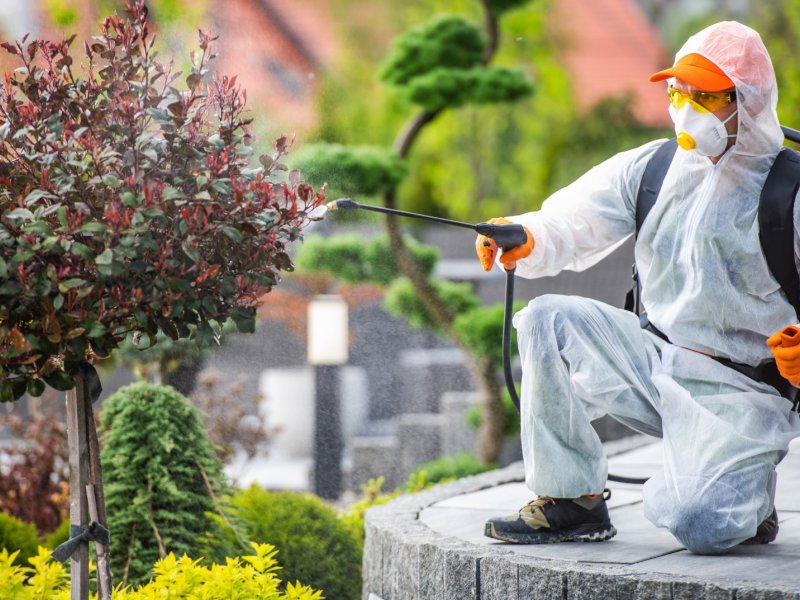 Bayrampaşa Haşere İlaçlama