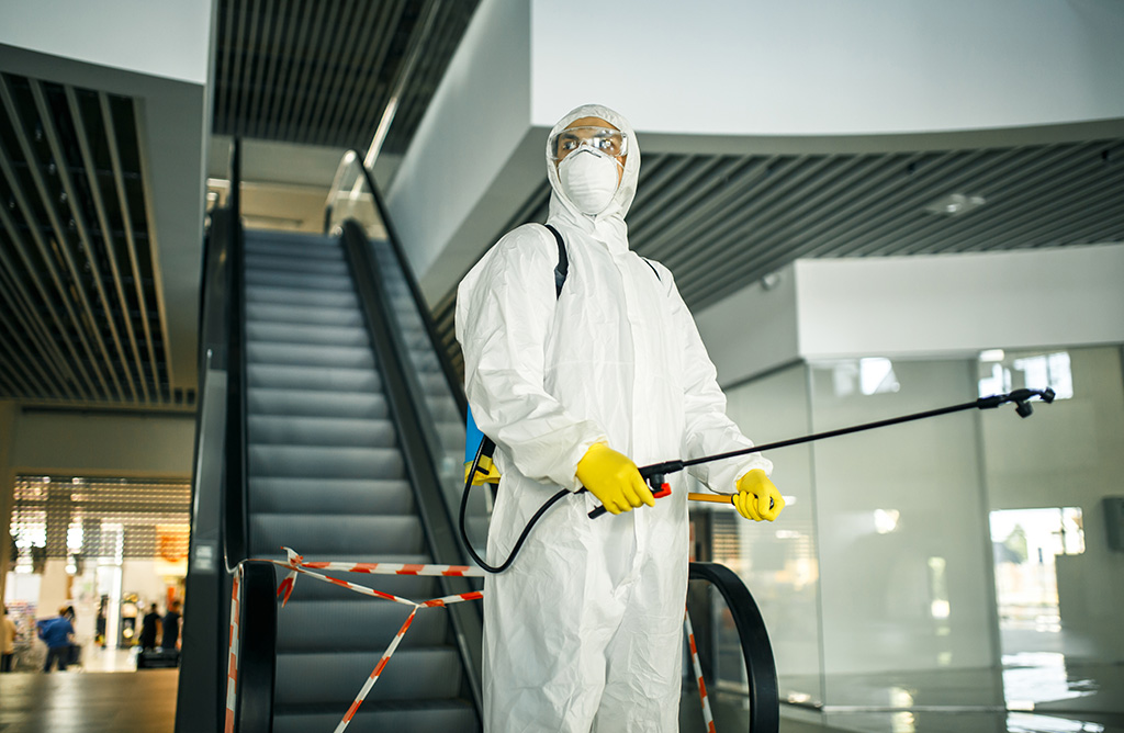 Bayrampaşa Haşere İlaçlama